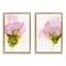 Stupell Industries Blooming Pink Ink Blossom 2 pc Framed Floater Canvas Wall Art Set Design by Jennifer Goldberger